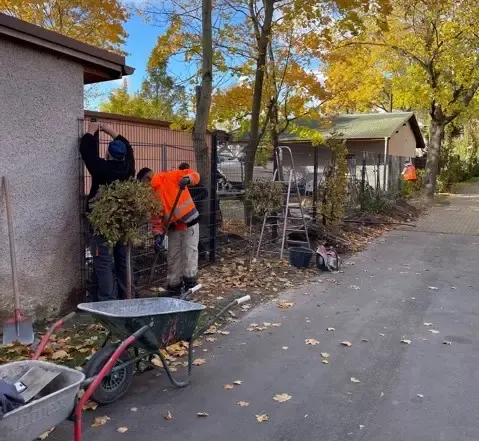 Mitarbeiter in Warnkleidung bei Arbeiten an einem Gartenweg mit Zaun im Herbst